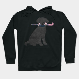 Black Lab Retriever Preppy Madras Field Hockey Dog Hoodie